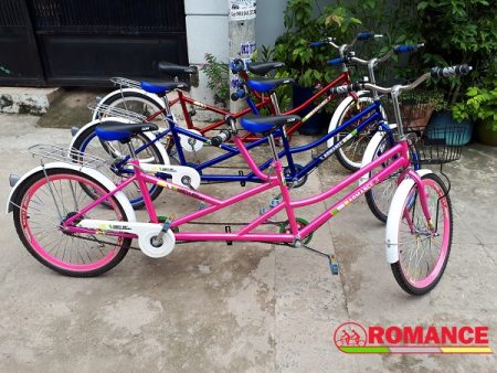 xe đạp đôi người lớn