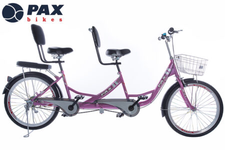 xe đạp đôi trẻ em