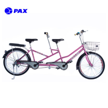 xe-dap-doi-pax-8p-mau-hong