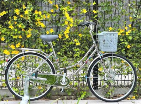 xe đạp giá rẻ cho học sinh phổ thông nữ màu bạc