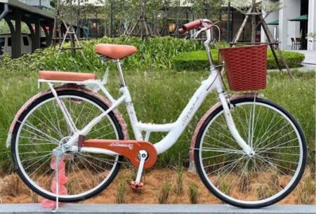 xe đạp giá rẻ cho học sinh thiên nga thời trang màu trắng